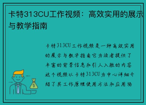 卡特313CU工作视频：高效实用的展示与教学指南