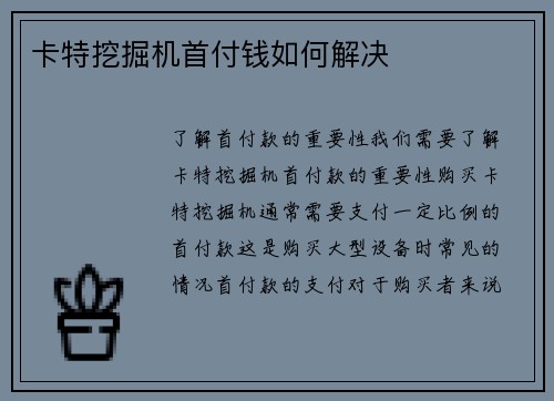 卡特挖掘机首付钱如何解决